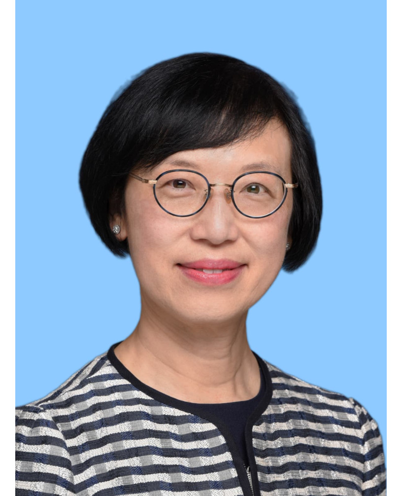 陳肇始教授